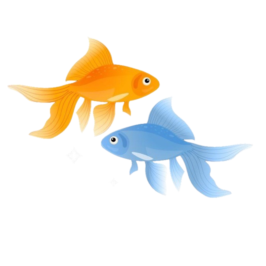 Знак зодиака Рыбы — 19 фев — 20 мар